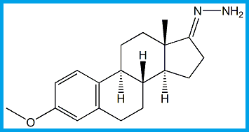 ESTRONE 3-O-METHYL HYDRAZONE IMPURITY